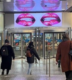 Écran d'affichage Adfaces — installation sur mesure pour propriété unique